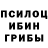 Галлюциногенные грибы Psilocybine cubensis James Corsey