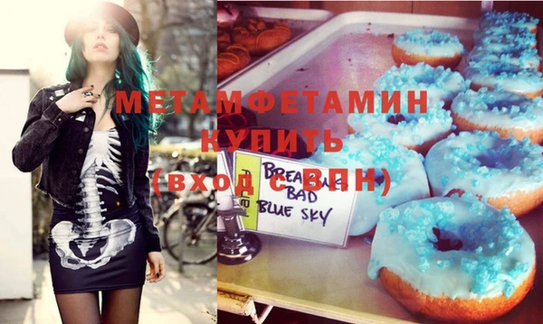 молекула духа Богданович