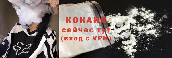 молекула духа Богданович