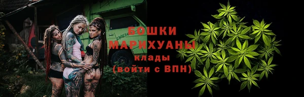 молекула духа Богданович