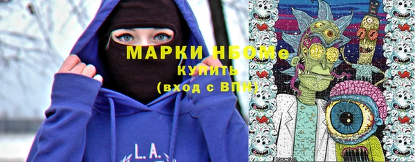 сатива Богородицк