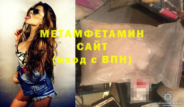 молекула духа Богданович