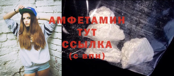 молекула духа Богданович