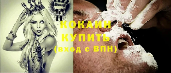 молекула духа Богданович