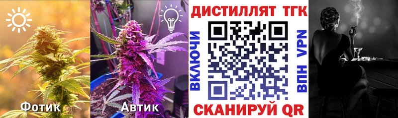 Купить где  Комсомольск-на-Амуре  ТГК концентрат 